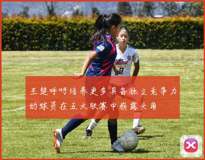 王楚呼吁培养更多具备独立竞争力的球员在五大联赛中崭露头角