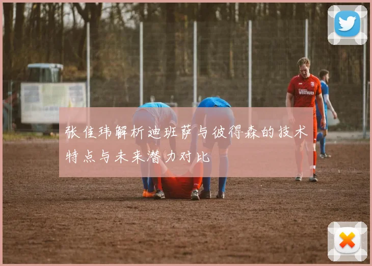 张佳玮解析迪班萨与彼得森的技术特点与未来潜力对比